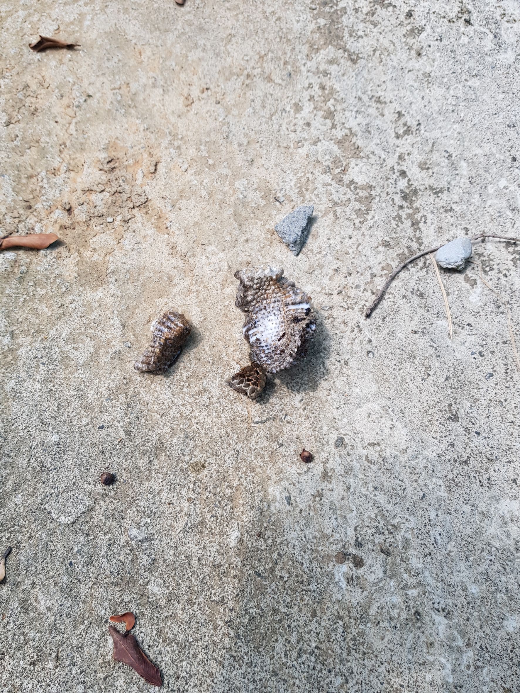 回收屋蜂窩拆除