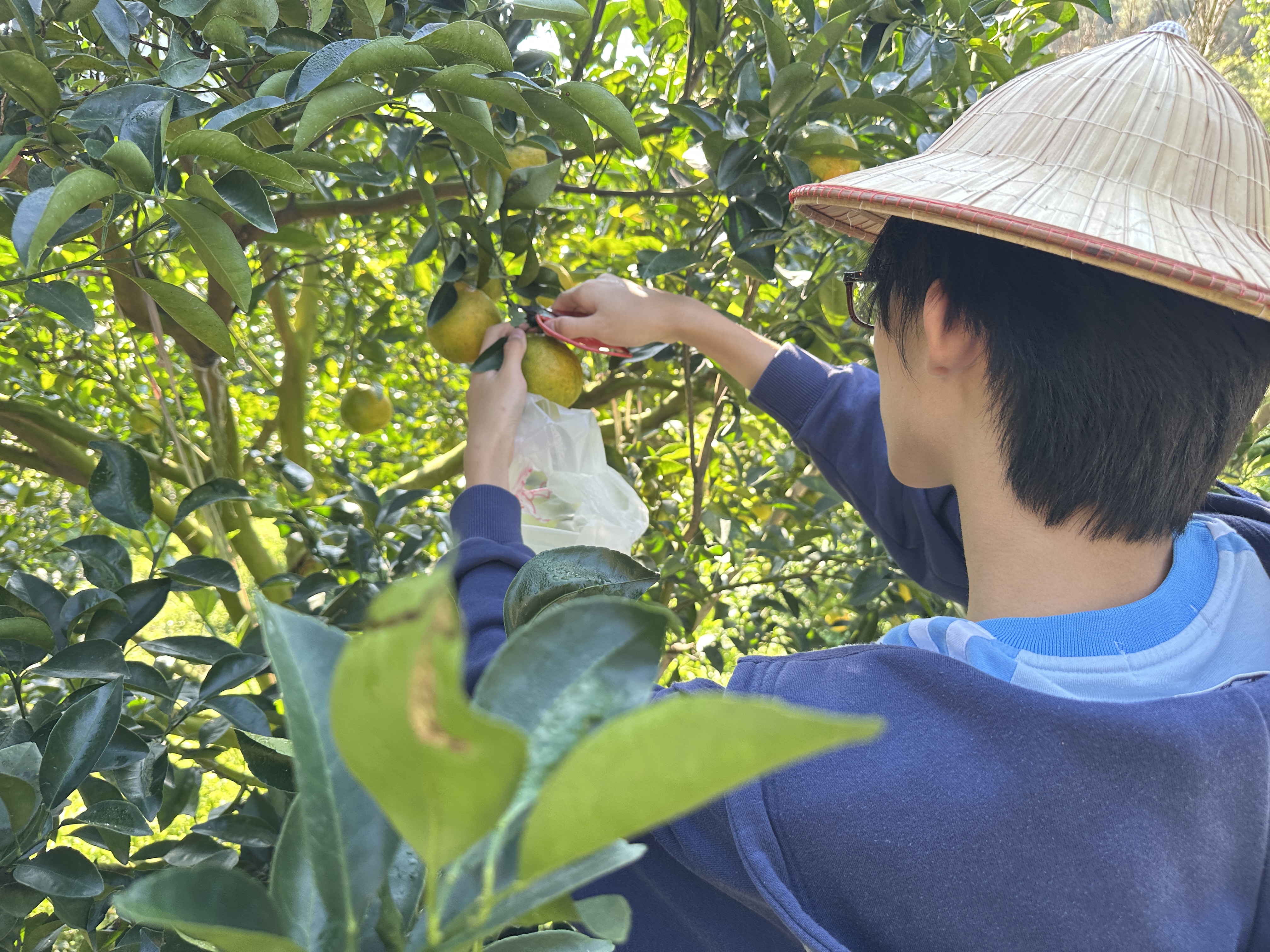 113-1 國二戶外教育(J2 Field Trip Day)