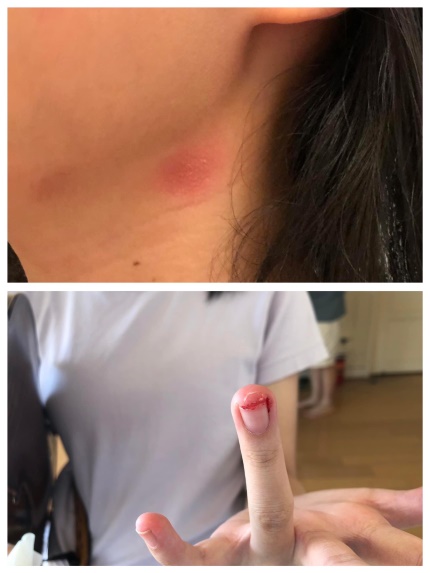 112十月附中之星-國三丙王彥喬